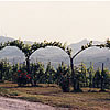 Bertinoro Fattoria Paradiso